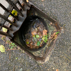 5 Smart tips to clear your drain blockage