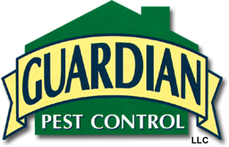 The reasons to control pests after cleaning the house